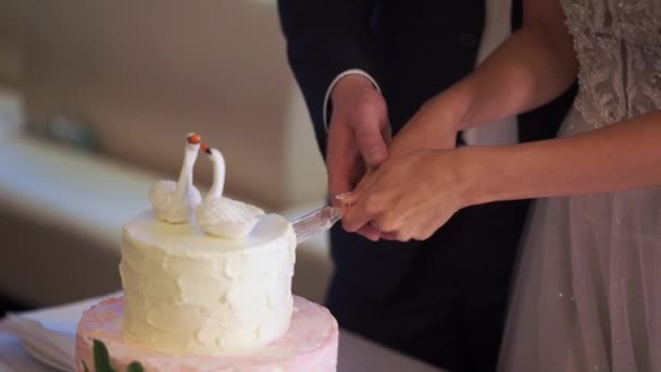 Ślubne celebracja ciastko młodej i pana młodego, cięcie — Wideo stockowe
