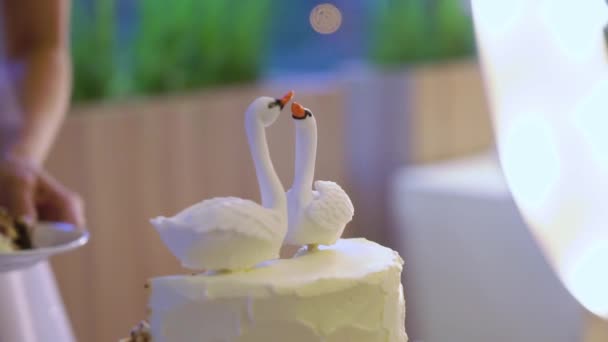 Celebrazione nuziale torta sposa e sposo taglio — Video Stock