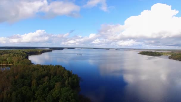Большое Озеро Лесном Беспилотнике Летний День — стоковое видео