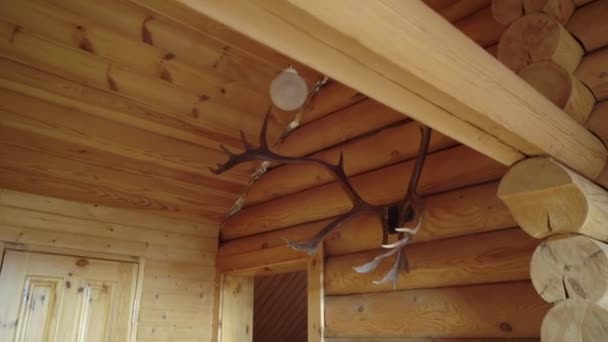 Cuernos de ciervo en una pared de madera — Vídeos de Stock