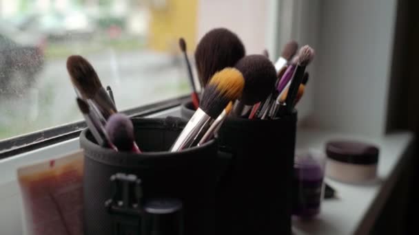 Zestaw profesjonalnych pędzli do makijażu — Wideo stockowe