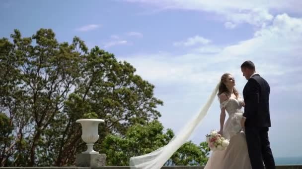 Young beautiful bride in a wedding dress and groom hugging and kissing — Stock Video