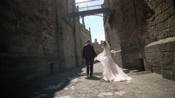 Jeune mariée et marié posant dans une ville . — Video