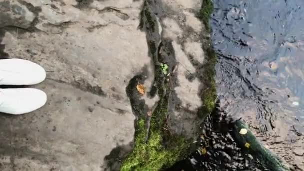 Вертикальное видео. Женщина в белых кроссовках останавливается возле горной реки или водопада в лесу в солнечный летний день . — стоковое видео