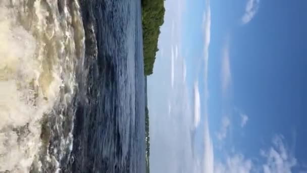 垂直方向のビデオ。川での水泳で運転しているタンク — ストック動画
