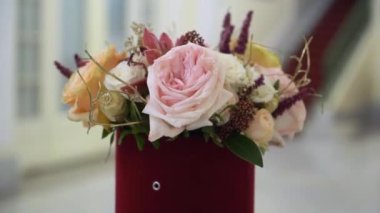 Kırmızı kutu çiçeklenir