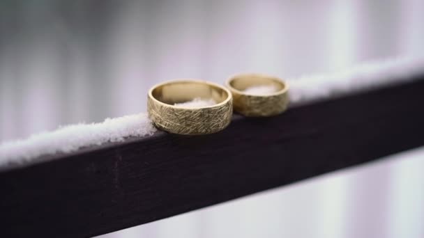 Golden rings for wedding at winter in snow — Stock Video