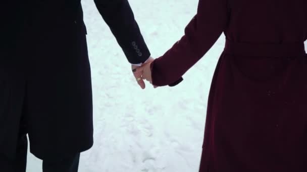 中年夫妇手牵手在艳丽的冬季公园散步 — 图库视频影像