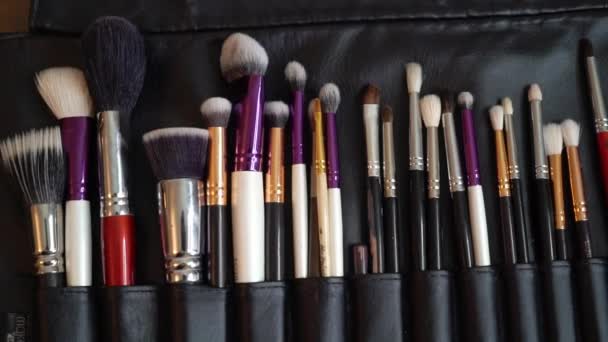 Professional makeup brushes — Stock Video