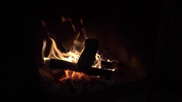 Închidere împușcat de ardere lemn de foc în șemineu — Videoclip de stoc