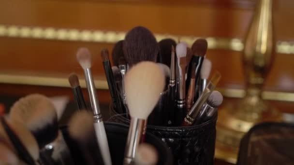 Profesjonalne pędzle do makijażu w pomieszczeniu — Wideo stockowe