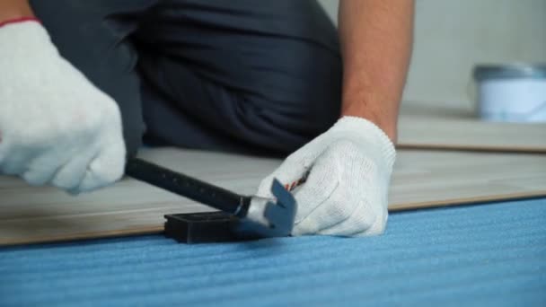 Builder renovating apartment. Repair of the apartment, laying laminate flooring. Construction — Stock Video