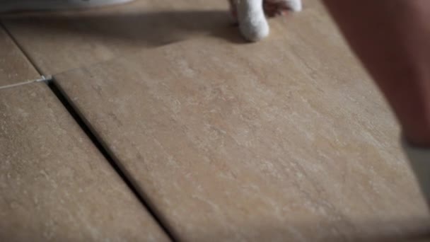 Установка керамической плитки для пола - измерение и резка деталей — стоковое видео