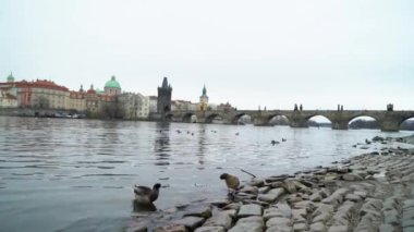 Prag kentinde Charles Köprüsü