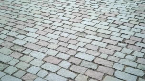 Old cobblestone pavement — Stock Video