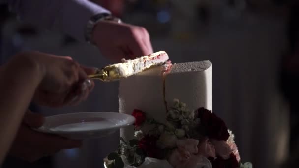 웨딩 케이크 커팅 피스 — 비디오