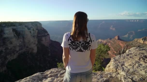 Woman walking in Grand Canyon — Stockvideo