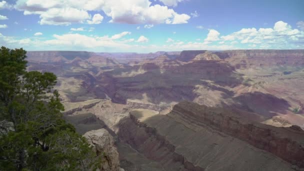 Parque Nacional del Gran Cañón — Vídeo de stock