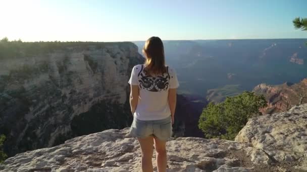 Woman walking in Grand Canyon — Stockvideo