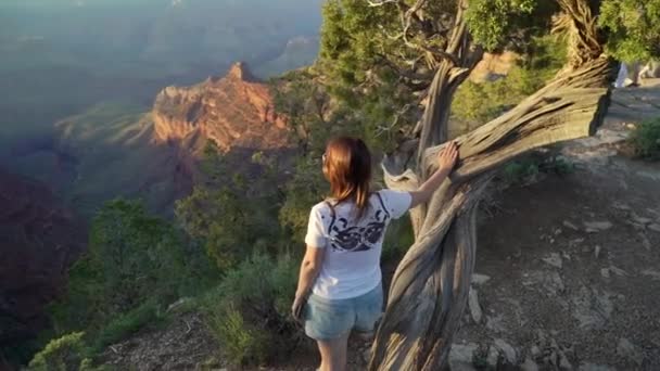 Woman walking in Grand Canyon — Stock video