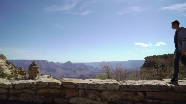 Man wandelen in Grand Canyon — Stockvideo