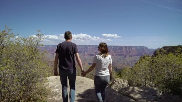 Young couple walking in Grand Canyon — 비디오
