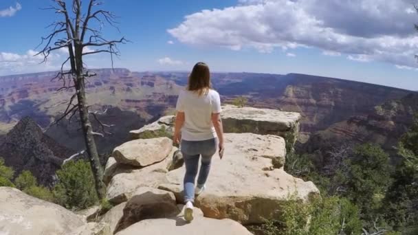 Woman walking in Grand Canyon — Stok video