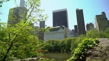 New York 'taki Central Park