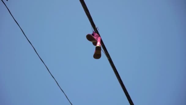 Sepatu merah muda di pantai Venice — Stok Video