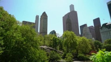 New York 'taki Central Park