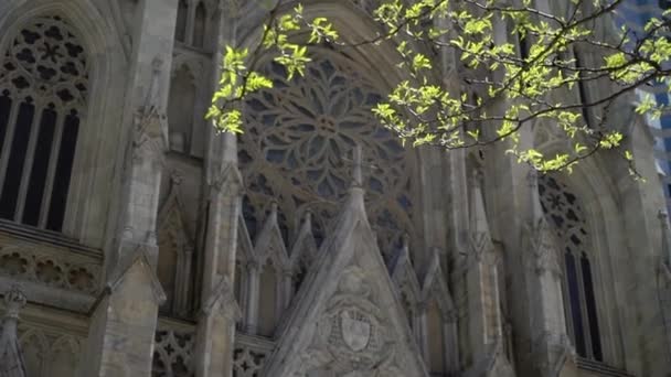 St. Patrick Cathedral in New York — Stock Video