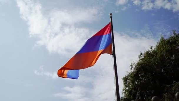 アルメニアの旗を振って — ストック動画