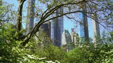 New York, Abd - 5 Mayıs 2019: Central park