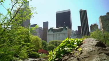 New York 'taki Central Park