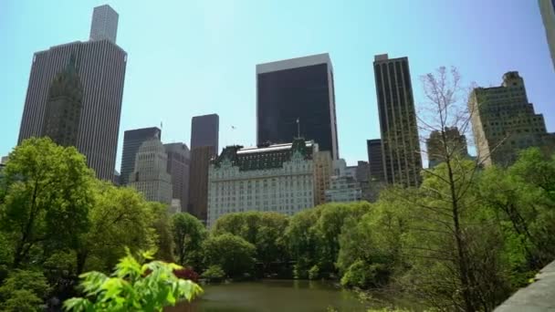 Central Park in New York — Stockvideo