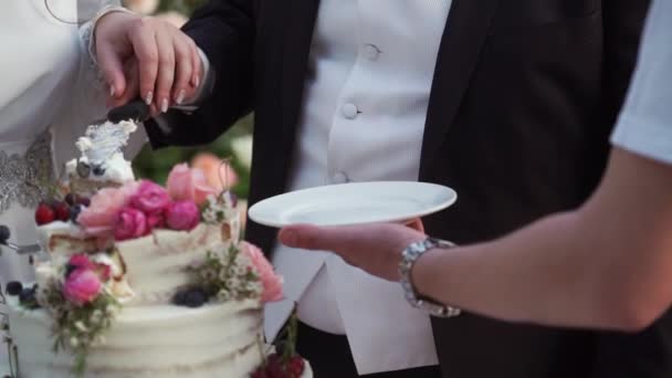 Bolo de celebração do casamento — Vídeo de Stock