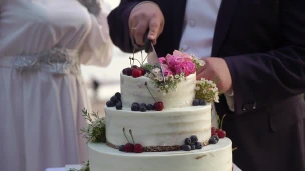 Γαμήλια τούρτα γιορτή — Αρχείο Βίντεο