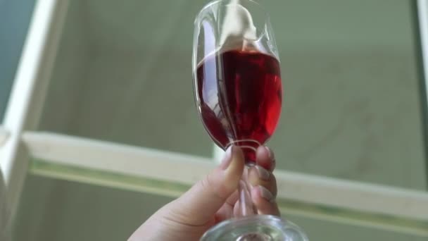 Mulher com copo de vinho — Vídeo de Stock