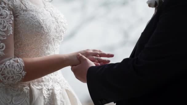 Mariée et marié échangent des alliances — Video