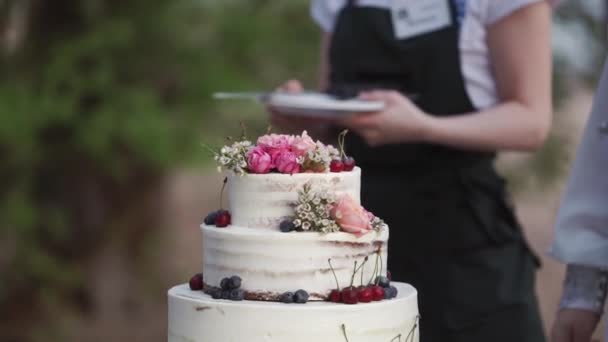 Firandet bröllopstårta — Stockvideo