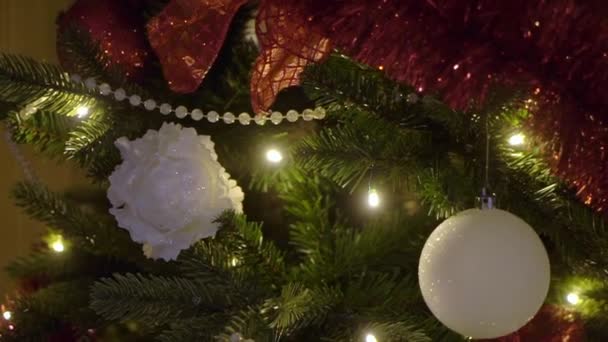 Christmas tree with lights — Stock Video