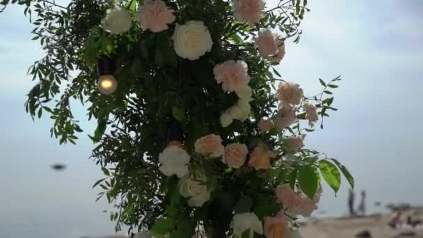 屋外の結婚式 — ストック動画
