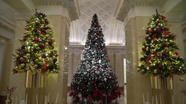 Árbol de Navidad con luces — Vídeo de stock