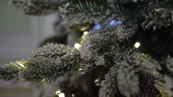 Χριστουγεννιάτικο δέντρο με φώτα — Αρχείο Βίντεο