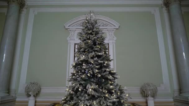 有灯光的圣诞树 — 图库视频影像