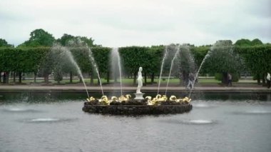 Peterhof parkta güzel çeşme