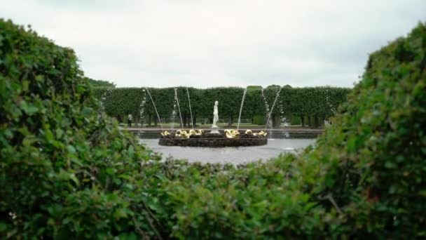 피터호프 공원의 아름다운 분수 — 비디오
