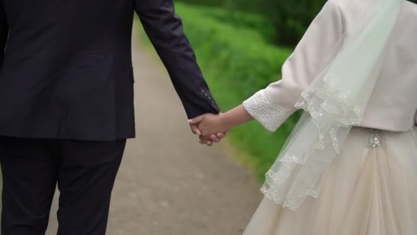 Lovely couple bride and groom holding hands — Stock Video
