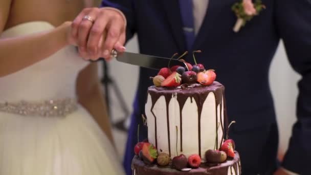 Taglio torta celebrazione — Video Stock