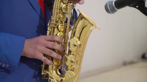 Saxofonista na festa — Vídeo de Stock